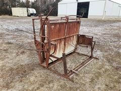 Calf Chute/Table 