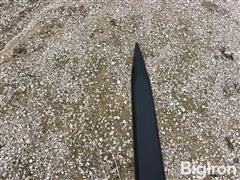 IMG_8164.jpeg