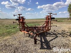 IMG_1806.jpeg