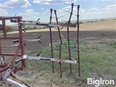 IMG_1831.jpeg