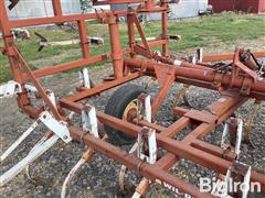 IMG_1828.jpeg