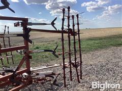 IMG_1821.jpeg
