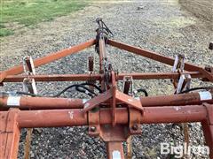 IMG_1835.jpeg
