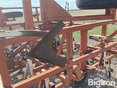 IMG_1816.jpeg