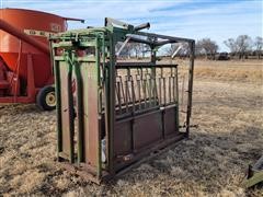 Big Valley Manual Cattle Working Chute 