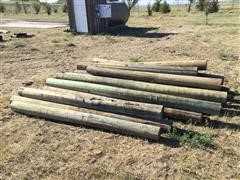 8’-10’ Green Treated Wooden Posts 