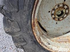 20250616_102036.jpg