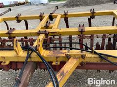 IMG_8771.jpeg