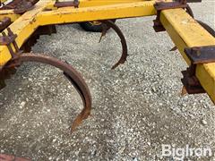 IMG_8780.jpeg