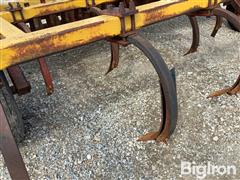 IMG_8782.jpeg