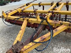 IMG_8770.jpeg