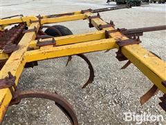 IMG_8781.jpeg