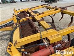 IMG_8775.jpeg