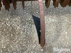 IMG_8793.jpeg