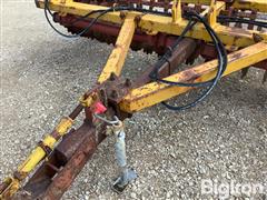 IMG_8769.jpeg