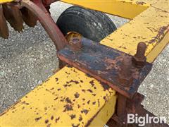 IMG_8788.jpeg
