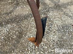 IMG_8785.jpeg