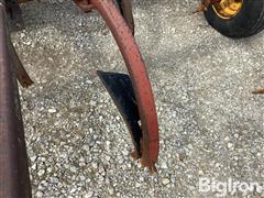 IMG_8786.jpeg