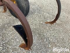 IMG_8787.jpeg
