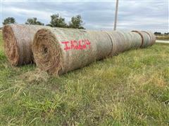 Prairie Hay 