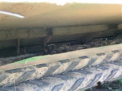 IMG_9938.jpeg