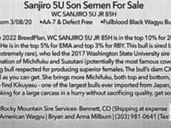 WC Sanjiro 5U Jr Description.JPG