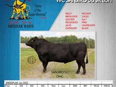 10) WC SANJIRO 5U JR 85H Wagyu Semen (BID PER UNIT) 