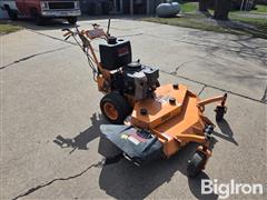 20250403_113740.jpg