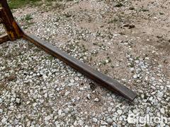IMG_2769.jpeg