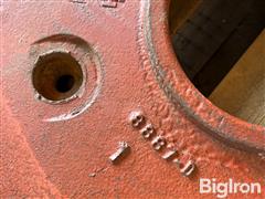 IMG_3737.jpeg