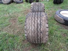 IMG_8239.JPG
