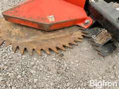 IMG_1092.jpeg