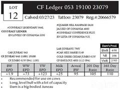 Lot 12 Pedigree.JPG