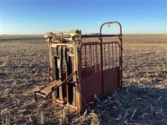 Cattle Chute W/For-Most A-25 Headgate 