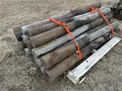 Creosote Fence Posts 