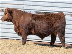 Lot 17 - MR IKE Blackchip 3034 