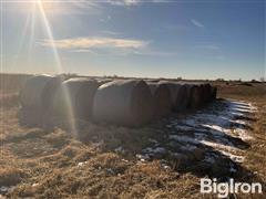 Alfalfa Bales 