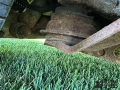IMG_1021.jpeg