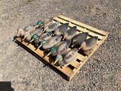 Duck Decoys 