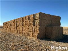 3x4 Large Square Bales Of Forage Sorghum GW-475 BMR & Alfalfa 