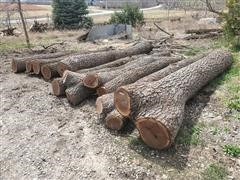 Walnut Logs 