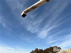 IMG_7825.JPG