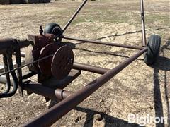 IMG_7824.JPG