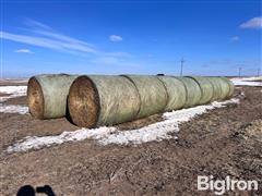 2nd Cutting Alfalfa Round Bales 