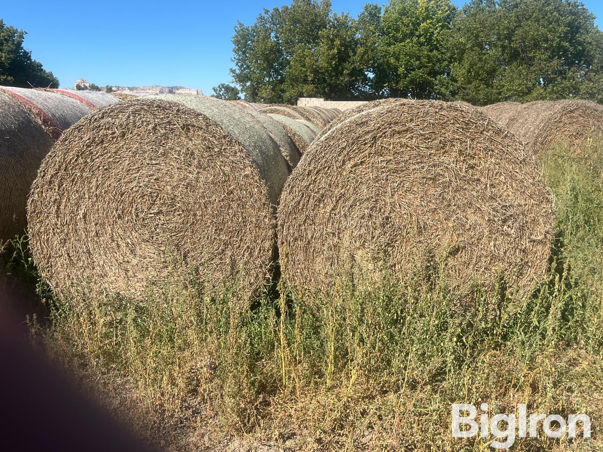 34) 1st Cutting Alfalfa Bales (2024 Crop) (BID PER BALE) 