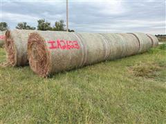 Prairie Hay 