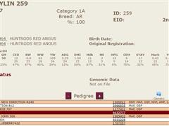 259 Pedigree.JPG