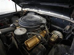 DSC00340.JPG