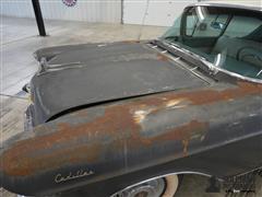DSC00292.JPG