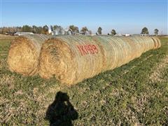 Alfalfa (First Year Seeding) Hay Big Rounds 